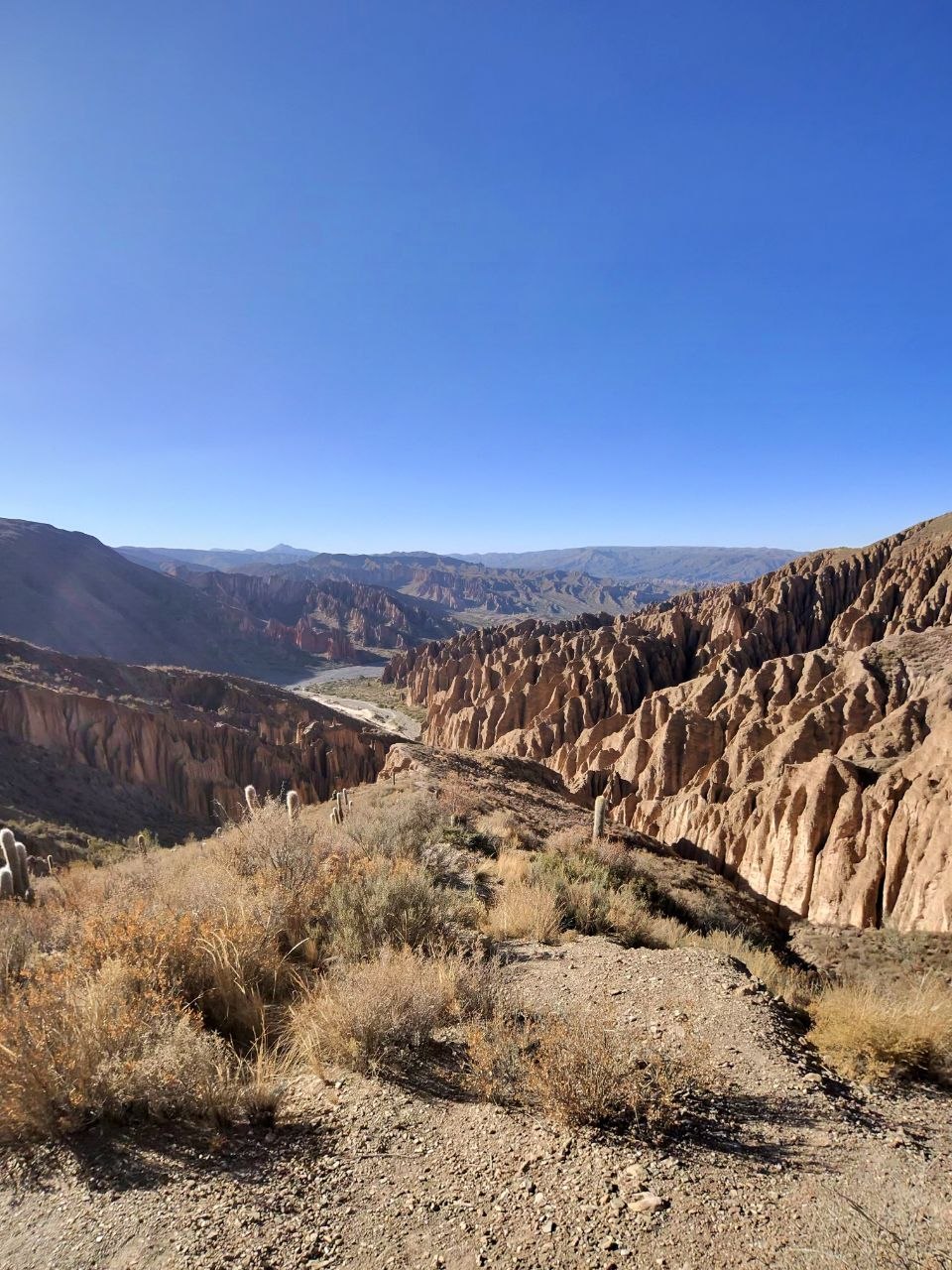 Bolivia canyon — cathedral rock formations