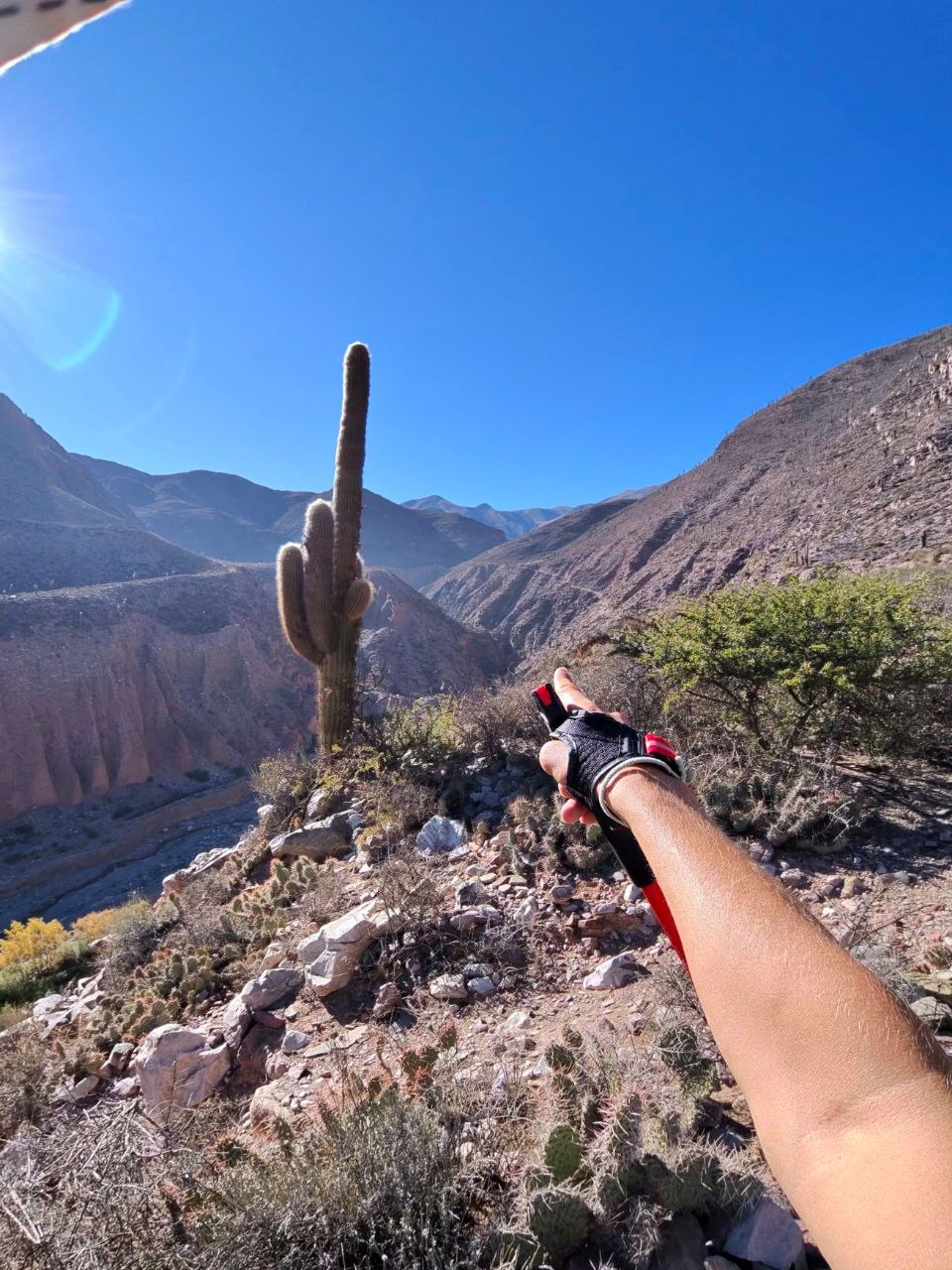Running in Tilcara — cactus and canyon